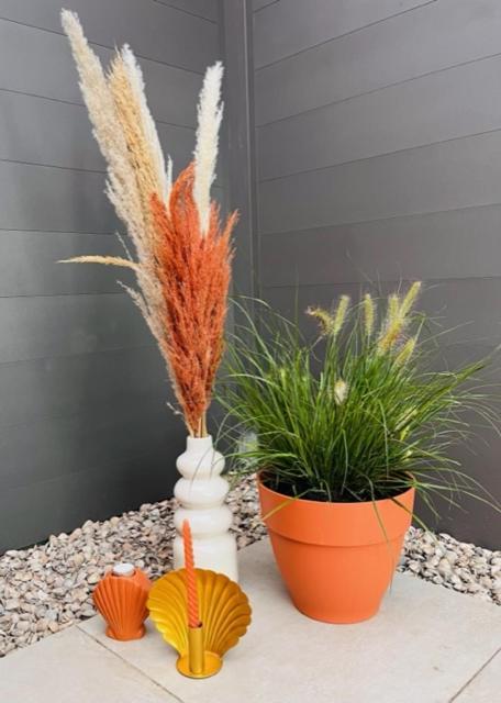 Charley'S Wellness Suite Westkapelle Esterno foto