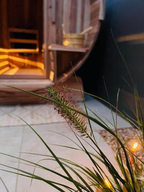 Charley'S Wellness Suite Westkapelle Esterno foto